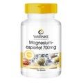 MAGNESIUMASPARTAT 700 mg Kapseln