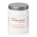 AMITAMIN Collagen System Pulver