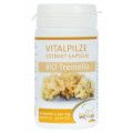 TREMELLA Bio Extrakt Kapseln