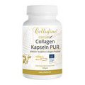 CELLUFINE VERISOL B Rind Collagen-Kapseln PUR Kps.